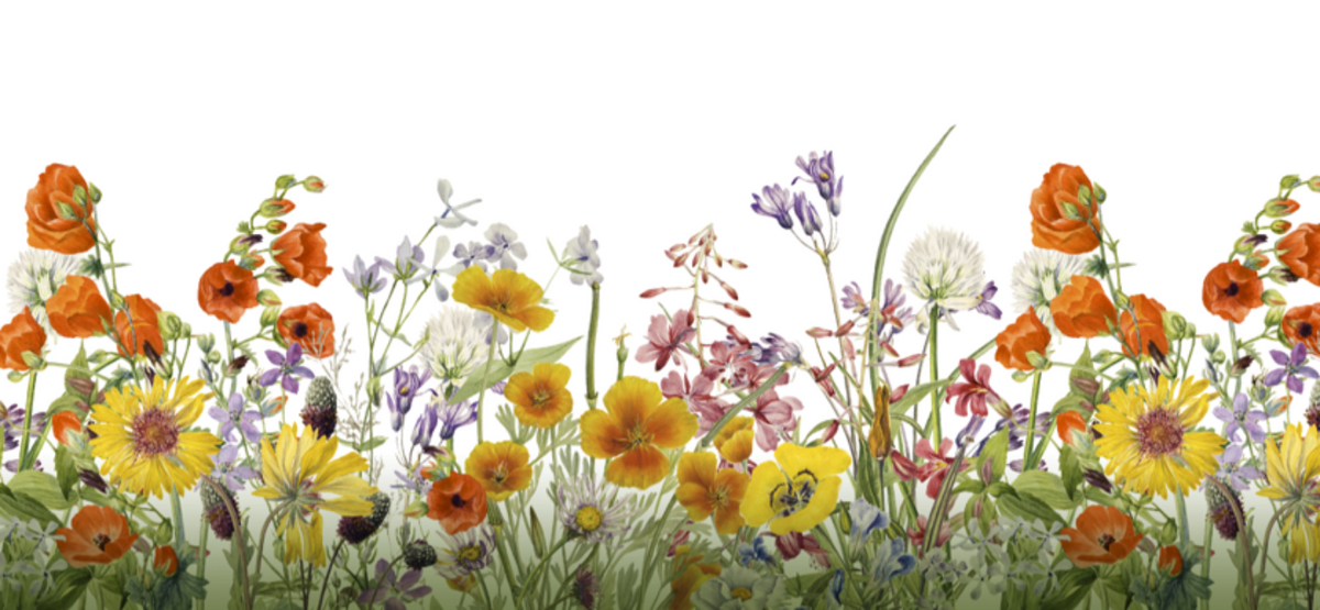 Detailansicht Schlaufenpanneau "Blumen" gelb-rot - Kurzvorhang von Albani